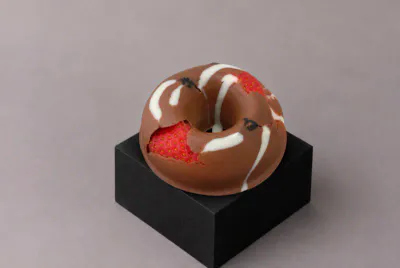 berries chocolate donut (T)